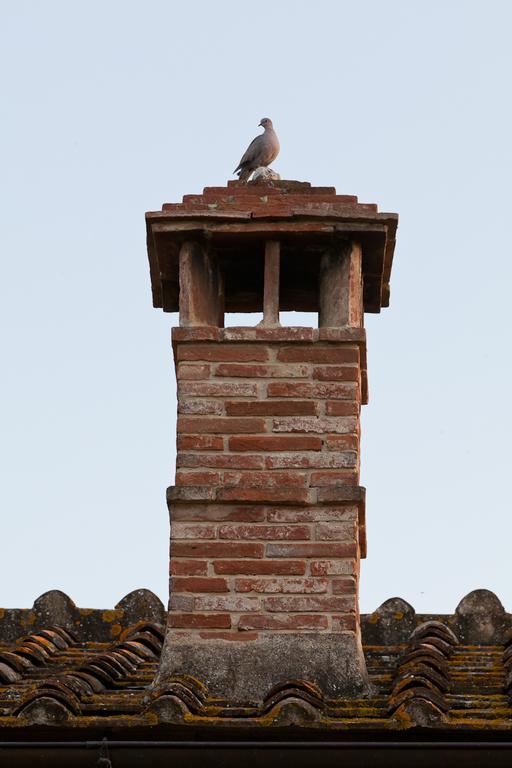 Willa Agriturismo Cignan Rosso Castellina in Chianti Zewnętrze zdjęcie