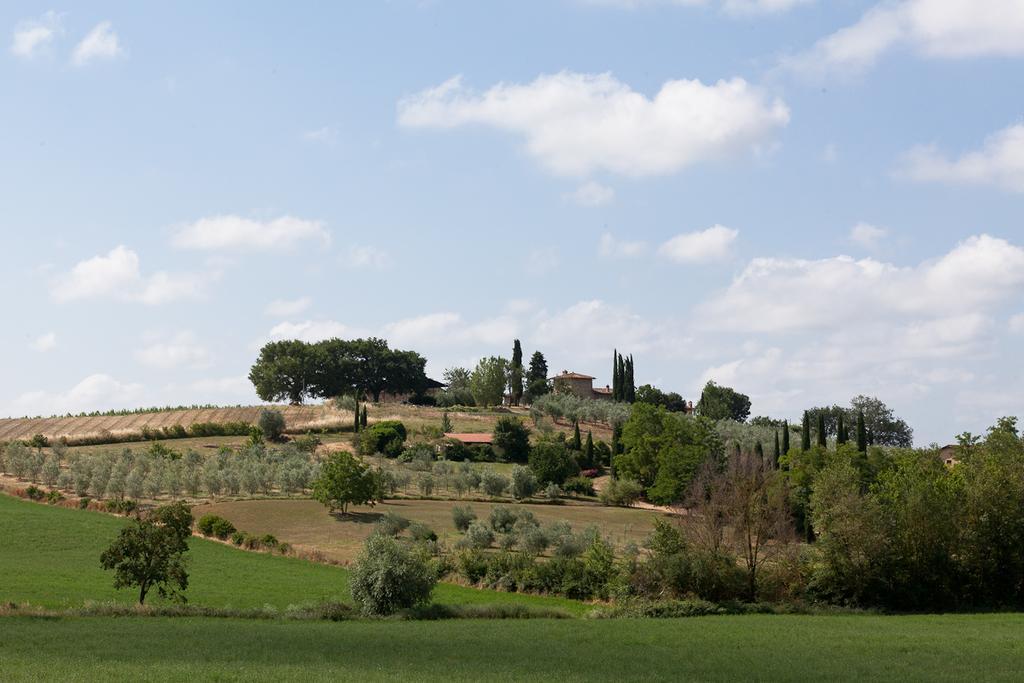 Willa Agriturismo Cignan Rosso Castellina in Chianti Zewnętrze zdjęcie