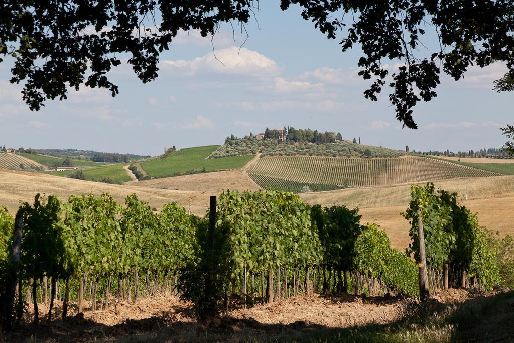 Willa Agriturismo Cignan Rosso Castellina in Chianti Zewnętrze zdjęcie